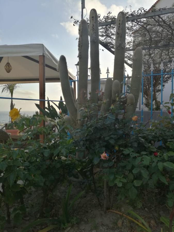 Villa Loreta Forio di Ischia エクステリア 写真