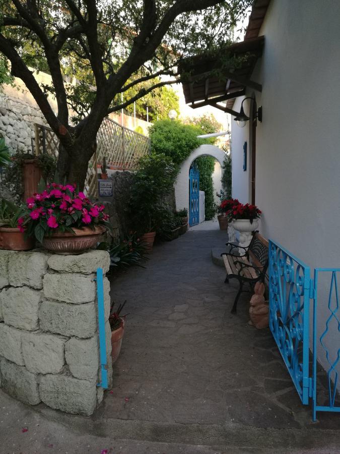 Villa Loreta Forio di Ischia エクステリア 写真