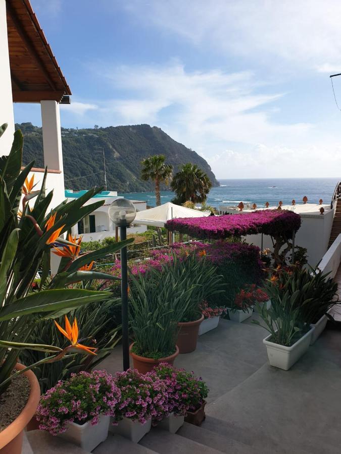 Villa Loreta Forio di Ischia エクステリア 写真